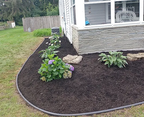 Add a Touch of Beauty to Your Property with the Best Lawn Care Service