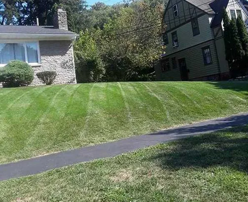 Get Professional Assistance!