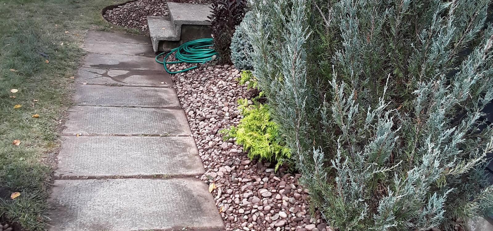 Take Care Of Your Garden<br>As You Do For Your Family