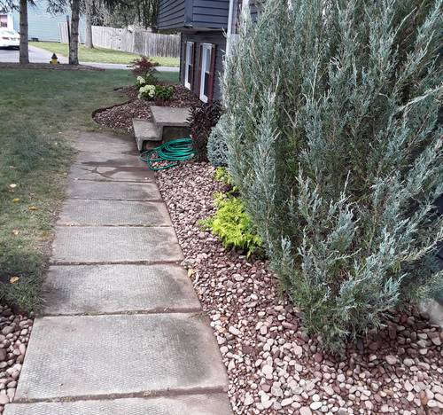 Take Care Of Your Garden<br>As You Do For Your Family